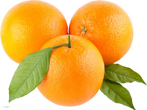 clipart, orange | Clipart Panda - Free Clipart Images