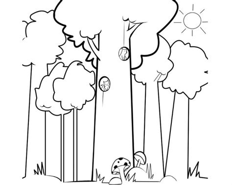 5 Pasos De Como Dibujar Un Bosque De Manera Sencilla