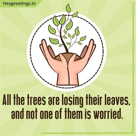 Save Trees Slogans Hey Greetings