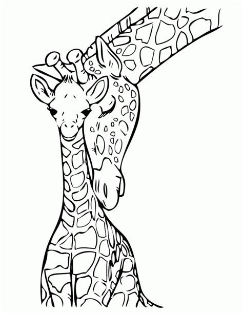 All About Giraffes For Kids Coloring Home