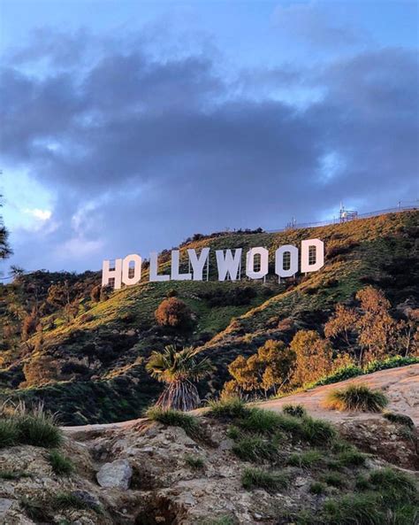 Hollywood Sign Android Wallpapers - Wallpaper Cave