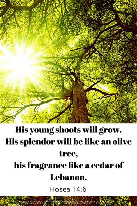 Flowers in the bible meaning. The Incredibly Interesting Symbolism Of Plants In The ...