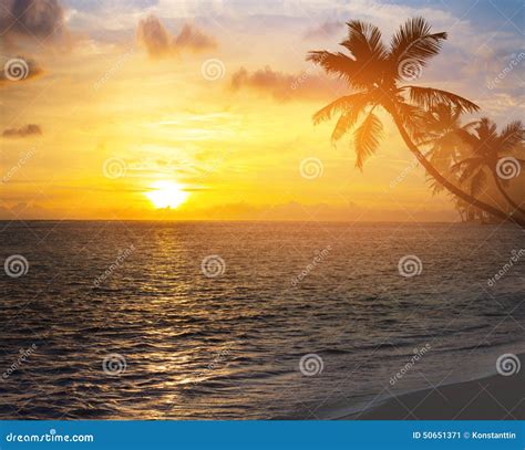 Beautiful Sunrise Over The Caribbean Tropical Beach Stock Image Image
