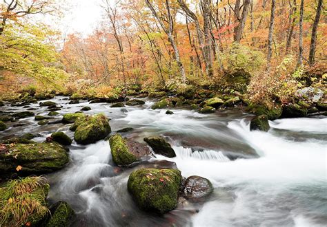 Autumn Mountain Stream Photograph By Ooyoo Fine Art America