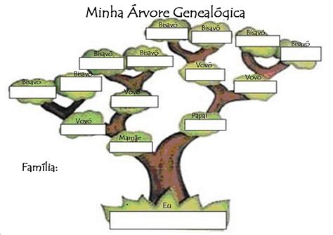 Como fazer uma árvore genealógica Como fazer