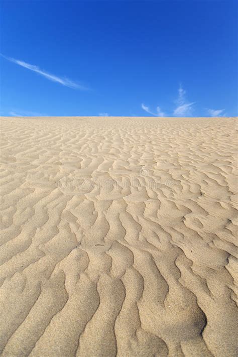 Sand Texture Stock Image Image Of Granular River Blue 72020499