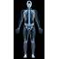 Full Body Xray Stock Photos Pictures & Royalty Free Images  IStock