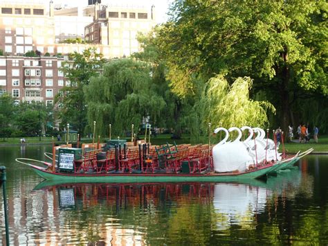 Boston public garden, the swan boats | Boston public garden, Boston public, Public garden