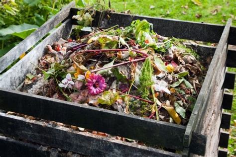 Réussir Son Compost Nos Techniques De Compostage