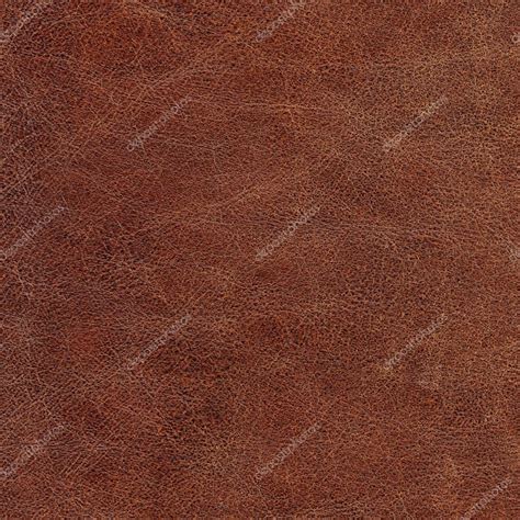 Genuine Leather — Stock Photo © Rusgri 5545494