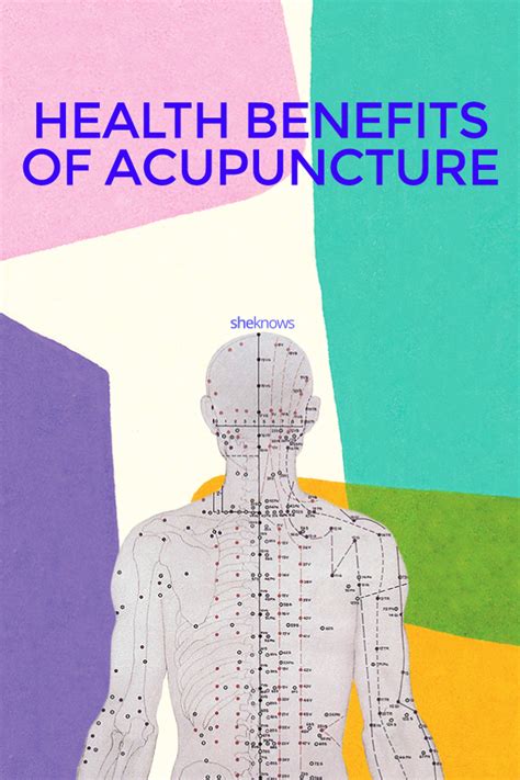 What Really Happens At Acupuncture — And How It Helps Your Body Sheknows
