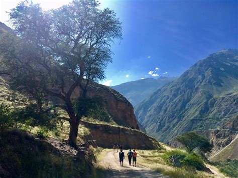 Colca Canyon Trek 3 Days 2 Nights Level 2 Green Peru Adventures