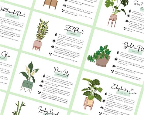Houseplant Plant Care Cards Plant Label Printable Common Etsy