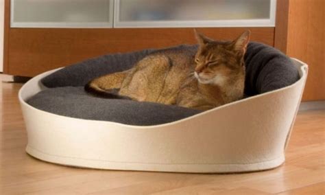 Luxury Cat Beds And Furniture Tvdoperu