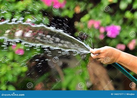 Squirting Water Stock Image Image Of Hand Squirt Outdoor