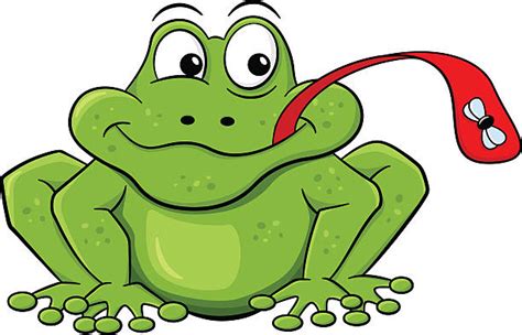 Best Frog Catching Flies Illustrations Royalty Free Vector Graphics