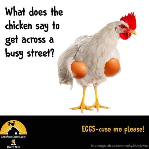 What Does The Chicken Say To Get Across A Busy Street Eggs Cuse Me