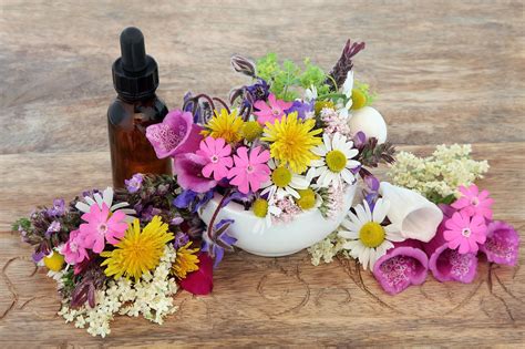12 Ways I Use Flower Essences