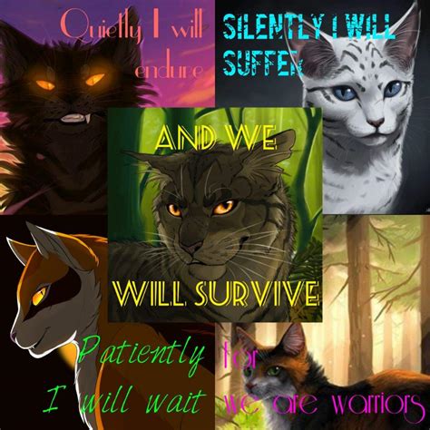 Random Edits Warrior Cat Fanfictions And Art Amino