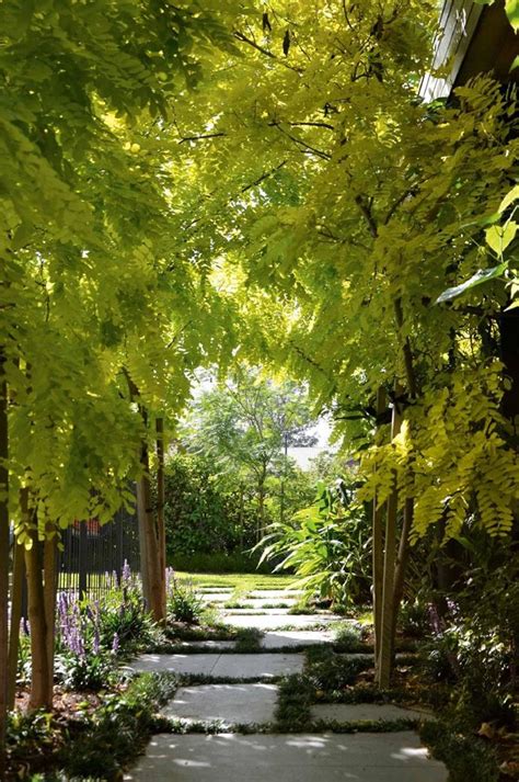 A Tranquil Garden Design In The Inner City Inside Out