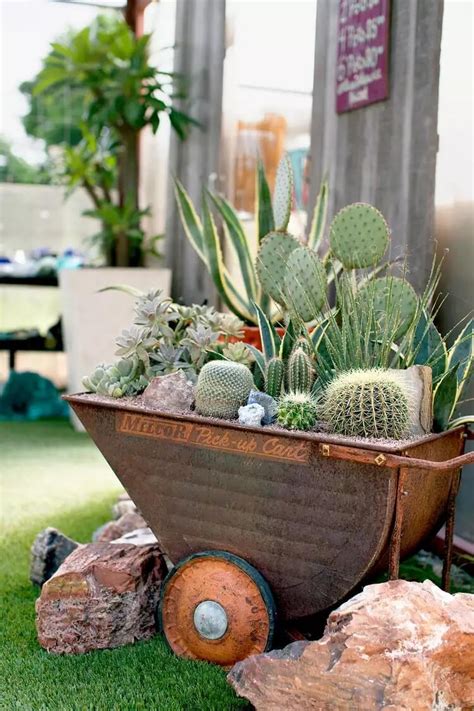 15 Cactus Garden Ideas