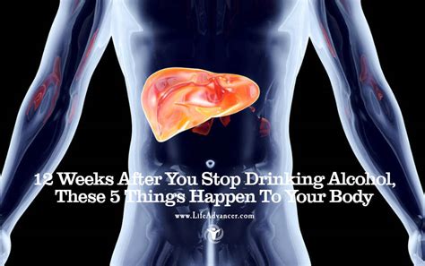12 Weeks After You Stop Drinking Alcohol These 5 Things Happen To Your