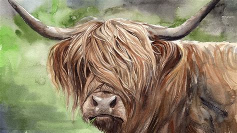 Watercolor Highland Cow Painting Tutorial Youtube
