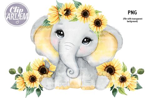 Sunflower Elephant Baby With Rustic Flowers Png By Clipartem