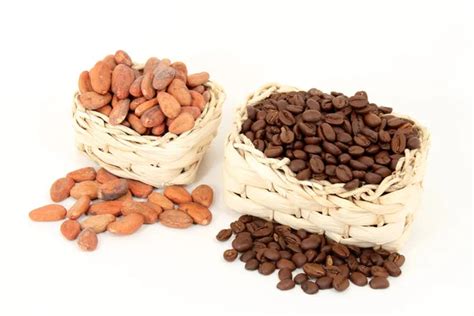 Coffee And Cocoa Beans — Stock Photo © Worldnews 8582532