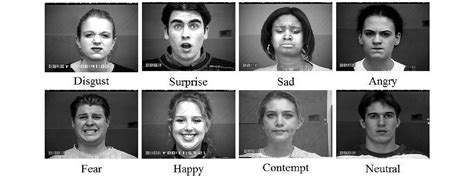 Recognizing Human Facial Expressions With Machine Learning Thoughtworks