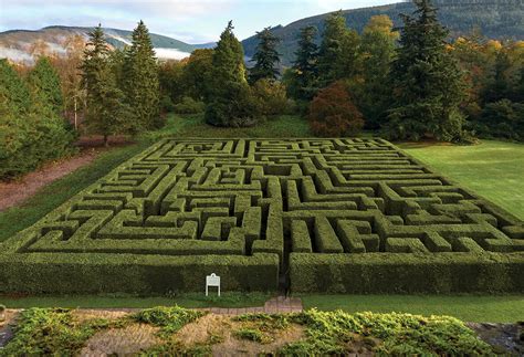 Largest Hedge Maze