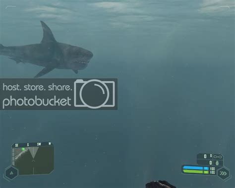 Crysis Shark And Other Pics