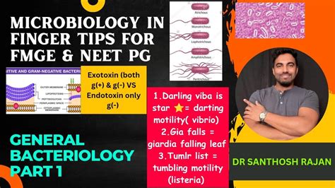 Microbiology Rapid Revision Fmge Micro Neet Pg Micro Microbiology