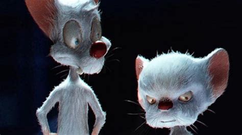 A mind is a terrible thing. Here Is What A Live Action Pinky & The Brain Could Look Like