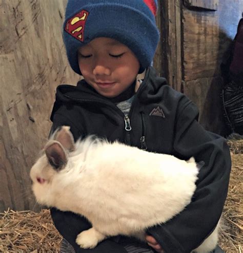 Enjoy Pioneer Farm Get Up Close And Personal With Farm Animals O The