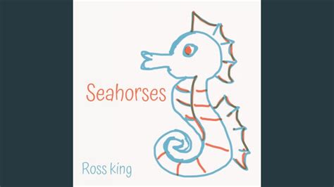 Seahorses Youtube
