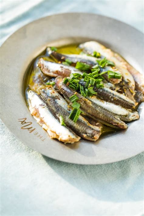 Traditional Spanish Pintxos Of Cantabrian Anchovies In Olive Oil Stock Image Image Of Foodie