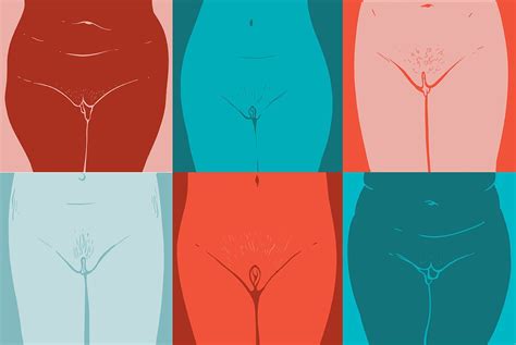 12 Things To Know About Outie Vaginas Types Sensation And More