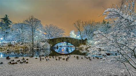 Gapstow Bridge In Central Park In Winter Hd Wallpaper Sfondo