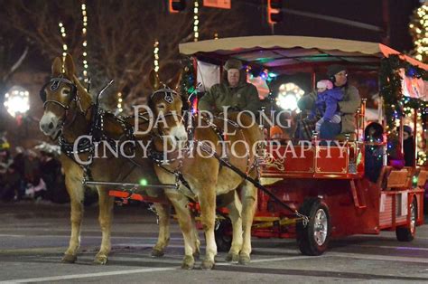 Lebanon Horse Drawn Carriage Christmas Parade Christmas Parade Horse