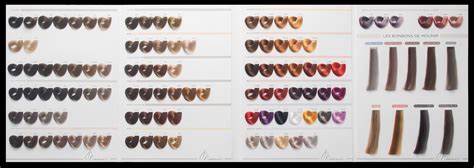 Hair Extension Color Chart Human Hair Color Swatch Chart In Clip Buy
