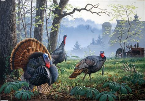 46 Wild Turkey Wallpapers Wallpapersafari