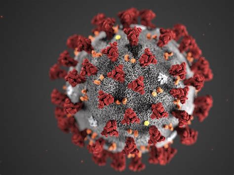 Find the best #coronavirus science sources. Corona-Mutation B117 wohl schon bei 17 Fällen in Tirol ...