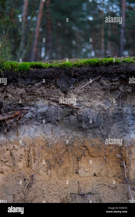 Soil Profile Layers Hi Res Stock Photography And Images Alamy