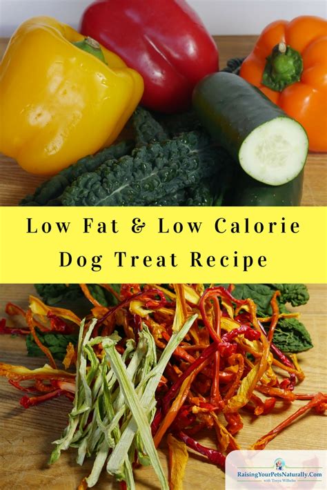 Clean, remove seeds, slice, dehydrate. Low Fat and Low Calorie Dog Treats | Healthy Homemade Dog ...