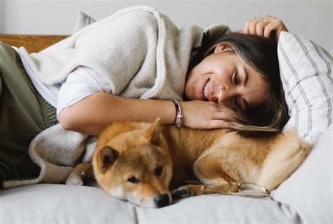 6 Tips Yang Harus Kamu Pahami Sebelum Memelihara Anjing