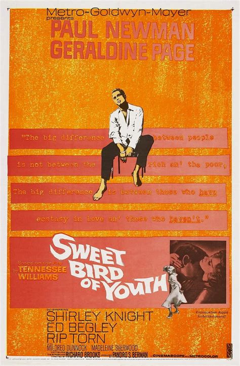 Sweet Bird Of Youth 1962 Imdb
