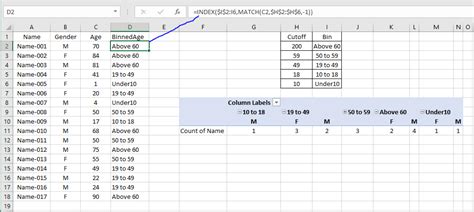 Solved Counting Of Gender Based Upon Age Distribution Vba Excel
