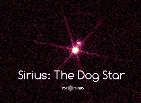The Star Sirius The Dog Star Is Shown In Red And Purple Colors With