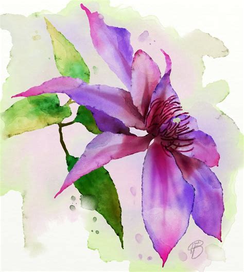 A Clematis Done Using Artrage 5 Flower Art Artrage Watercolor Paintings